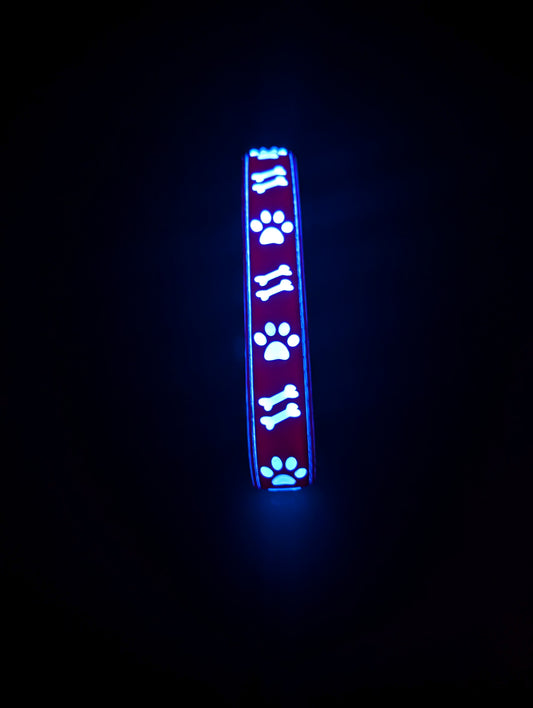 LED Dog Collar Rechargeable USB-C | Light Up Night Safety | XS-L | 15 Modes